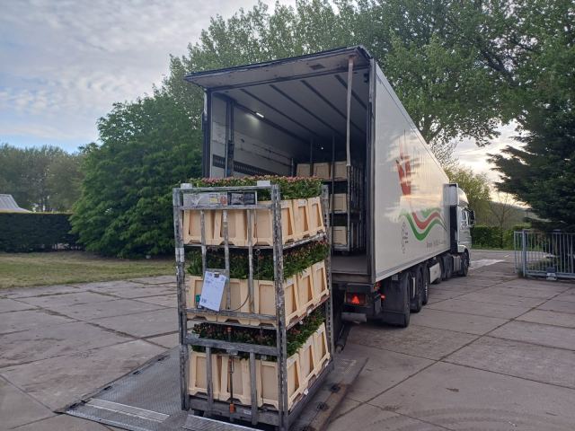 Bloementransport van kweker naar de bloemenveilingen in Nederland en Duitsland