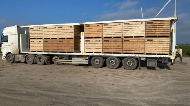 Foto De Wit Transport